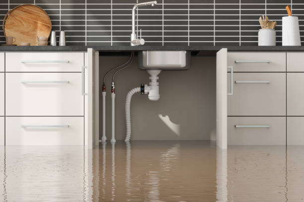 Trusted Water Damage Restoration in Plattsmouth, NE | Fast, Reliable, and Ready to Assist You